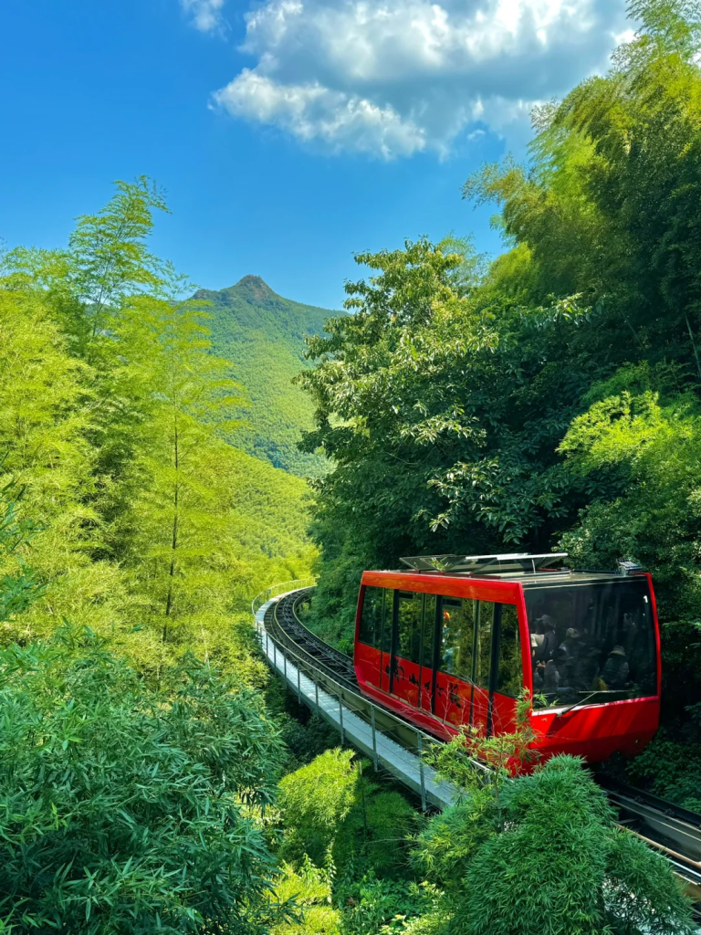 Nanshan Bamboo Sea Sightseeing Train