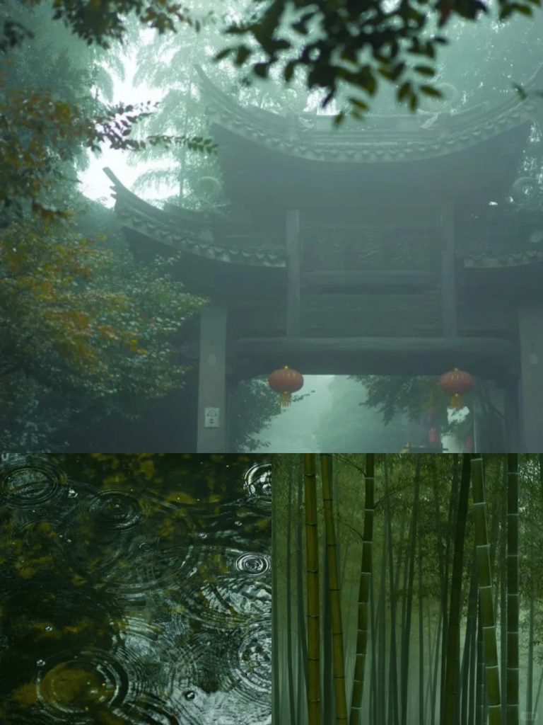 Nanshan Bamboo Sea Autumn Scenery